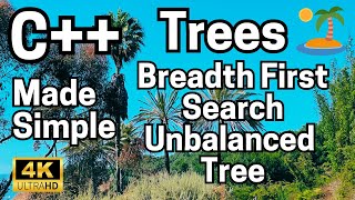 C++: Made Simple-Data Structures & Algorithms-Part 6.17-Unblanced Tree Breadth First Search