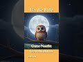 Ruhig einschlafen mit Eule Lia 🦉✨ Kinder Geschichten