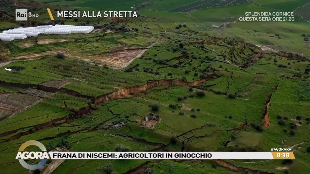 Vite sospese - Agorà 05/02/2026