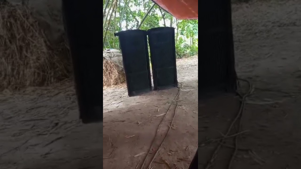 Delta audio p9001 & Peavey qw4 sound test