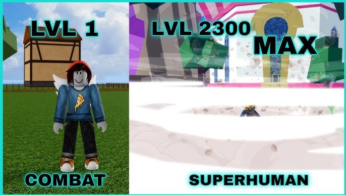 Blox Fruit ~ Level 2300 MAX ~ Superhuman + V2 Stylez