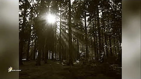 Tawnhriat lawrkhawm 7-12 August, 2023 chhunga chhuak dahkhawm