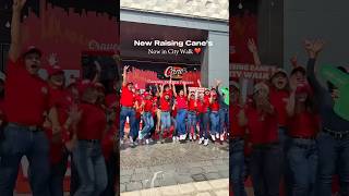 Egypt - Raising Cain