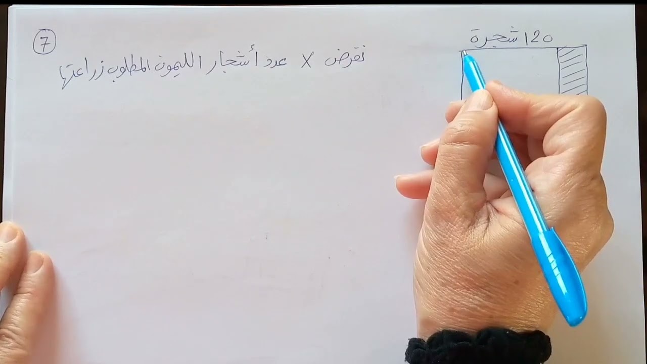 اتدرب وأحل مسائل درس حل المعادلات النسبية