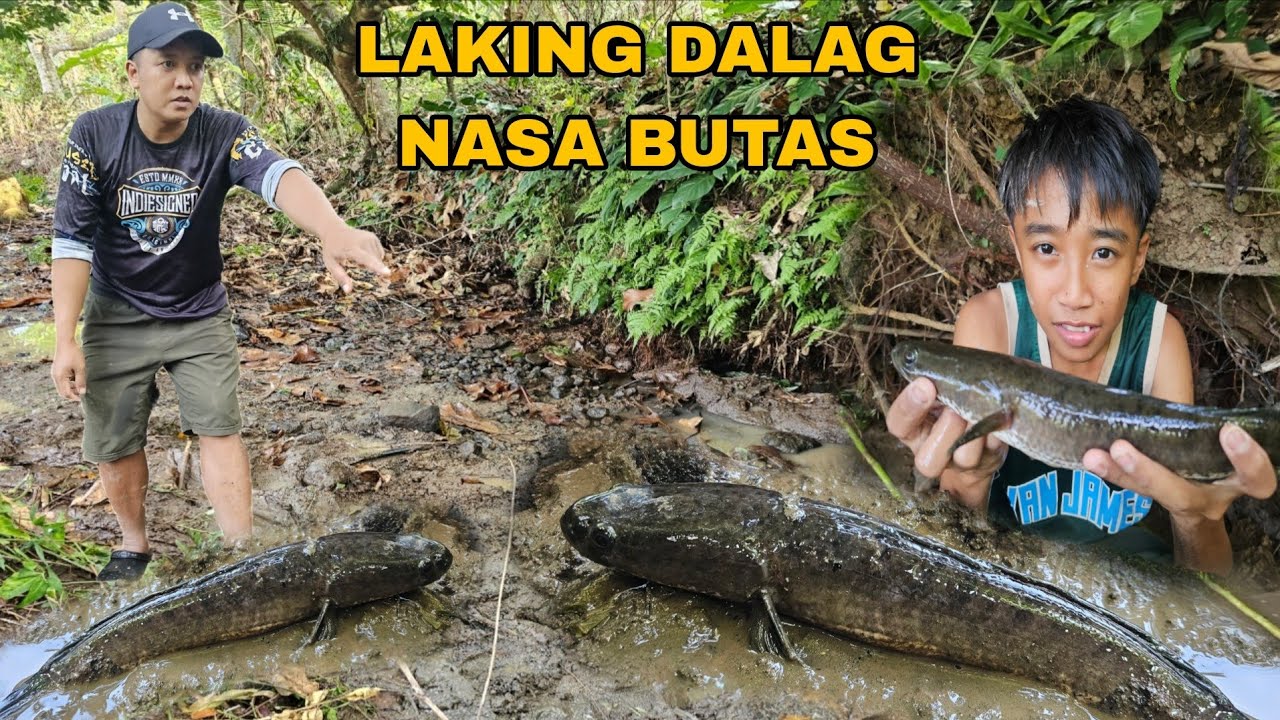 Natuyot na Ilog Tinirahan ng Mamaw na Dalag Huli ng Batang magaling mangisda