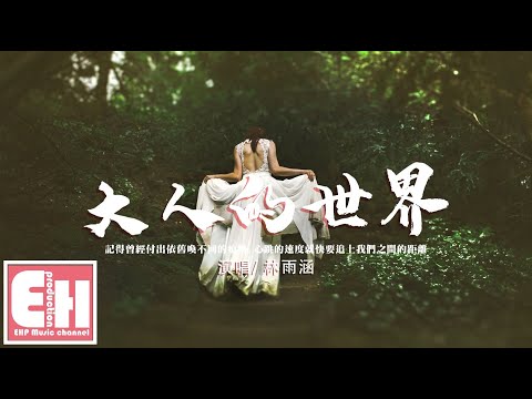 林雨涵 - 大人的世界『記得曾經付出依舊喚不回的痕跡，心跳的速度就快要追上我們之間的距離。』【動態歌詞/Vietsub/Pinyin Lyrics】