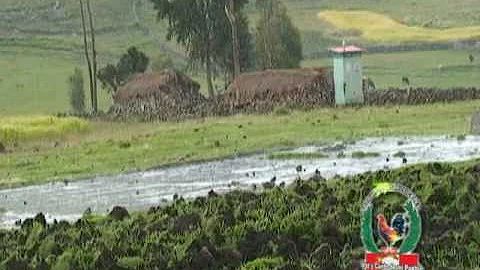 AYACUCHO YOLANDA DE LA CRUZ - AMANCCAYPA SISAN