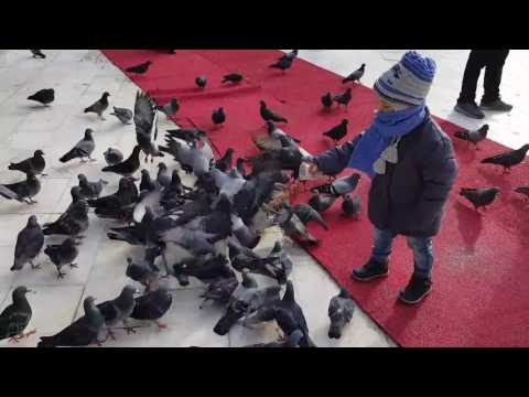 تركيا معنا أحلى عدسة شاب دمشقي من إسطنبول