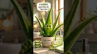 aloe vera skin health