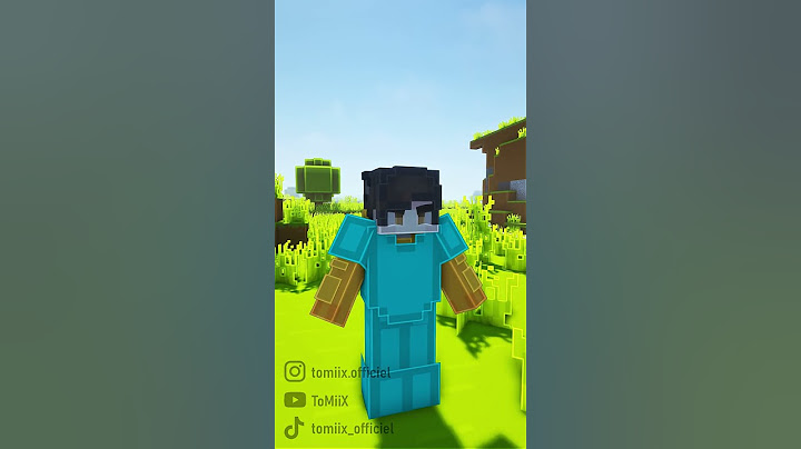 Les différents types de serveur sur Minecraft !