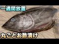 マグロ1匹そのまま酢に浸けて一週間放置したら凄いのが出来上がったwwwww