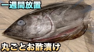 マグロ1匹そのまま酢に浸けて一週間放置したら凄いのが出来上がったwwwww