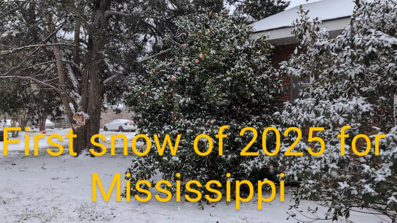 First snow of 2025 in Mississippi - YouTube
