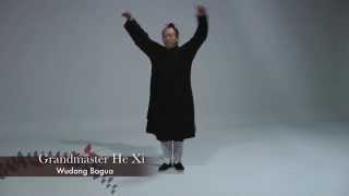 Grandmaster He Xi's Wudang Bagua