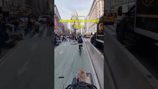 Dogs&#39; Bike Life🐶🐶🚲 | Rhapsody in Blue NYC