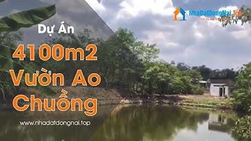4100m2 Nhà Vườn Ao Chuồng - Nghỉ Dưỡng tại Vĩnh Tân cách KCN Sông Mây 3km | nhadatdongnai.top