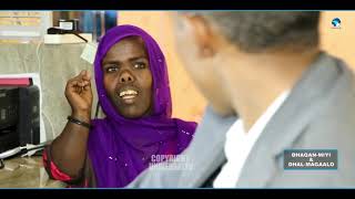 Dawo Musalsalka Dhaqan Miyi Iyo Dhal Magaalo Xalqadii 14aad