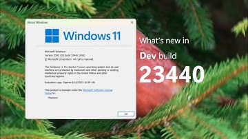 Windows 11 Dev build 23440 and what