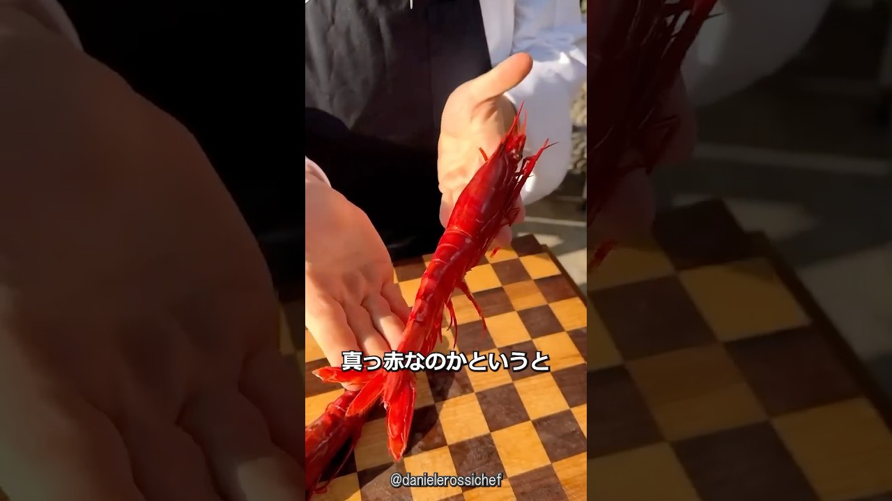イタリアの真っ赤なエビの謎
