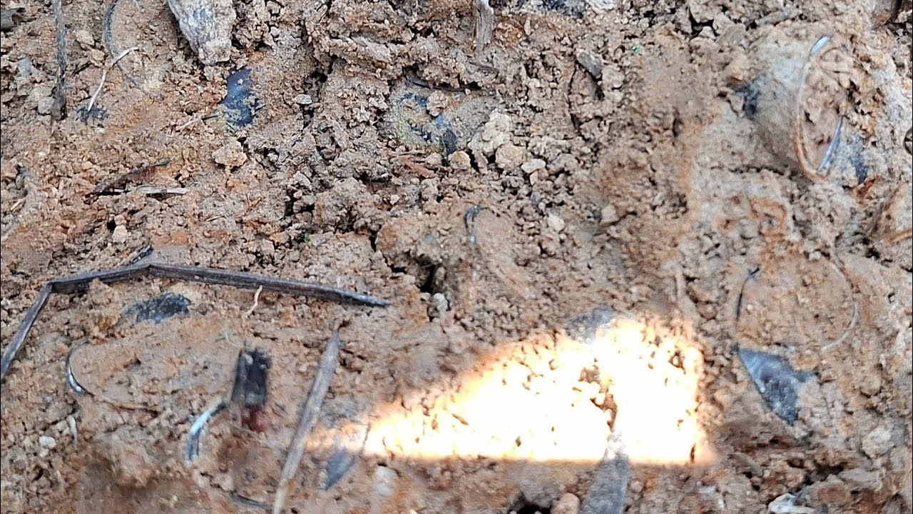 ป้าดขัวหอยวันนี้หมานทั้งหอยโข่งหอยจุ๊บจ้า12 มกราคม ค.ศ. 2026