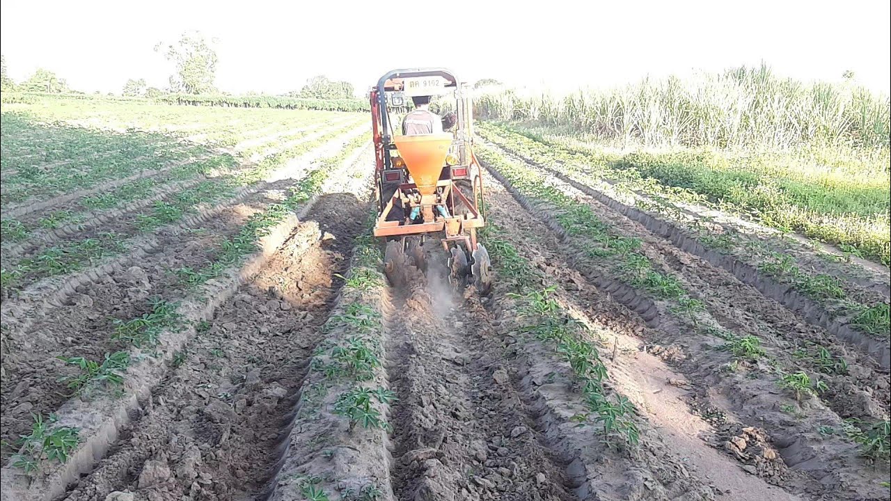 ไถกำจัดวัชพืชด้วยคูโบต้า 21 แรงเนโร 🚜🚜🚜