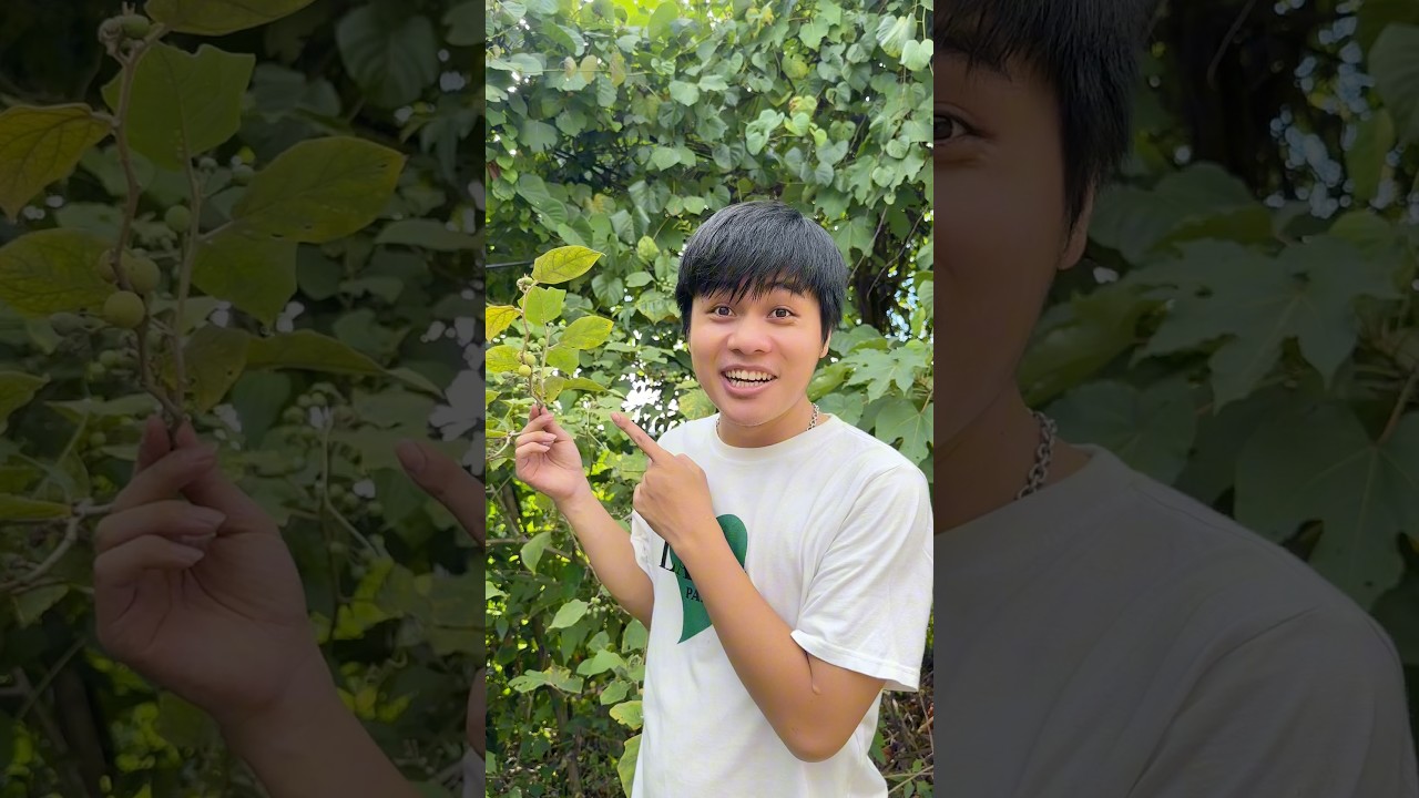 Cà dại và cái kết #shorts #mukbang