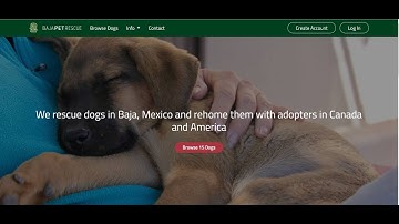 Ruby on Rails Dog Adoption Application
