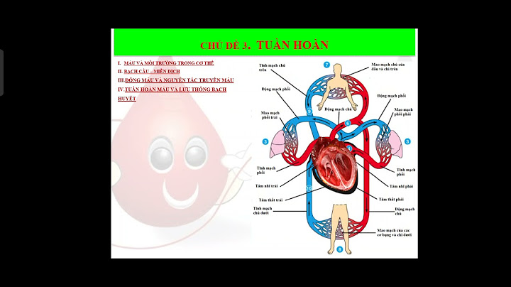 Loại mạch máu nào làm nhiệm vụ dẫn máu từ tâm thất trái đến các phần của cơ thể