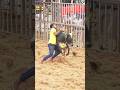 😇😘நல்ல காளை நல்ல வீரன் அகரம் நிலவு kallakurichi jallikattu Agaram jallikattu peravai nilavu tamil🔥👑