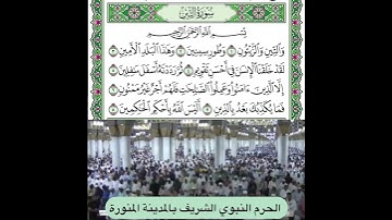 سورة التين قراءة الشيخ علي الحذيفي