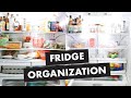 FRIDGE ORGANIZATION | How To Organize Your Refrigerator