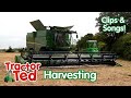 The GIGANTIC Combine Harvester &amp; Other Harvesting Machines 🚜🌾 Tractor Ted Clips &amp; Songs Mp3 Song