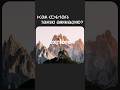 Анимация с GSAP #javascript #css #верстка #webdesign #html #coding