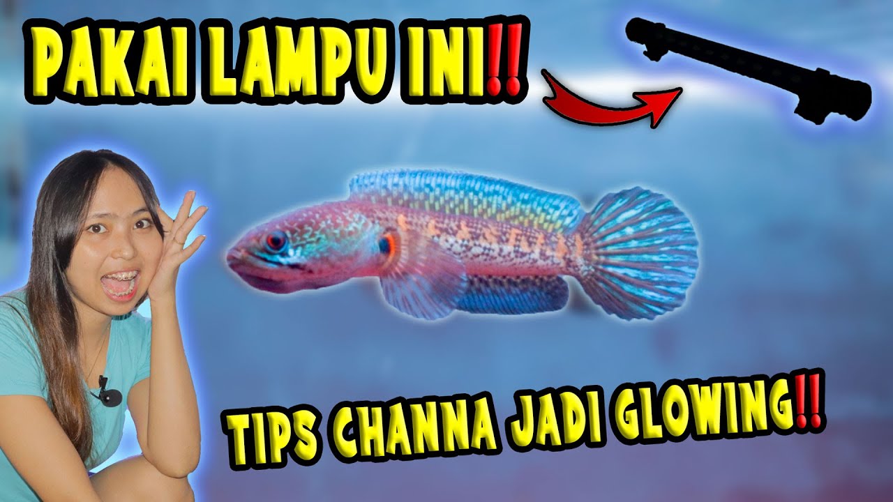 INI JADINYA KALO JORDAN PAKE LAMPU VIRAL | GLOWING MANTAP‼️