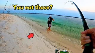 FISHING with CUT BAIT for MONSTERS! (Catch, Clean, and Cook)