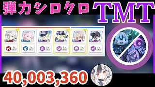 【解説付き】シロクロ 屋内 弾力 1凸 TORMENT 40,003,360【ブルアカ】