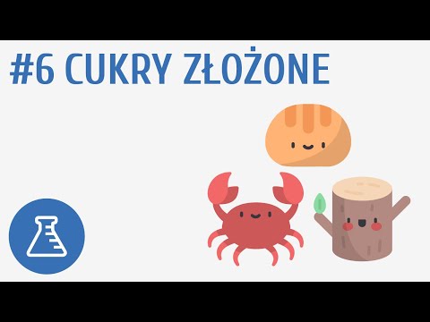 Cukry złożone #6 [ Biologiczne związki organiczne ]