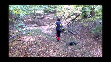 Follow Behavior Demonstration