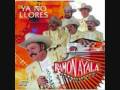 Ramon Ayala- Mujer Paseada