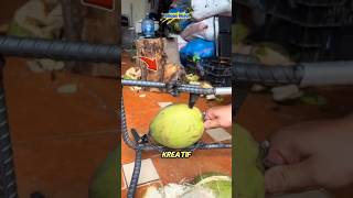 Ide Kreatif Alat Pengupas Kelapa Dari Besi Ulir!