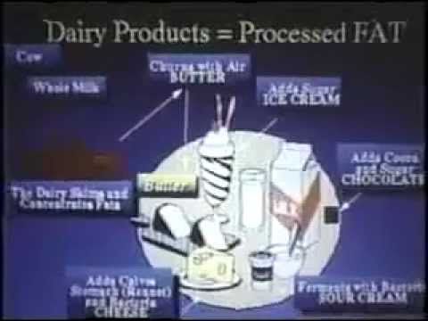 the-dangers-of-milk,-meat-and-eggs-and-the-connected-illnesses-!-(part-1-of-6)