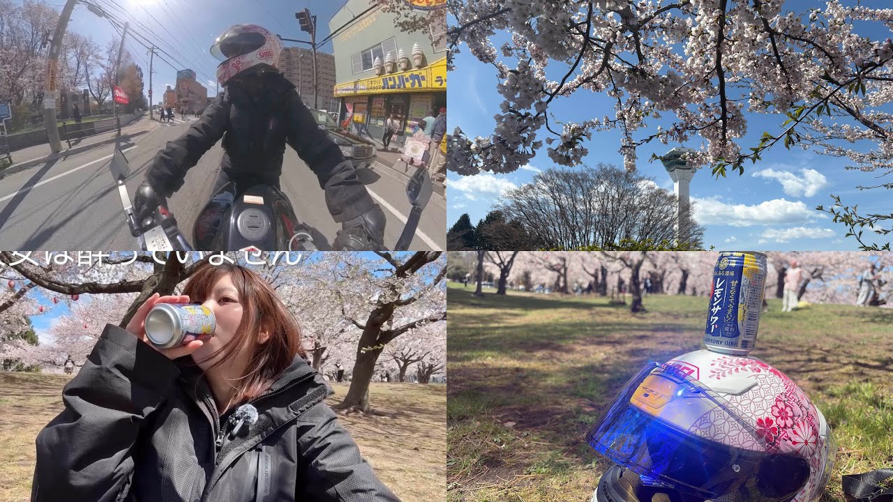 It's springtime, so let's go cherry blossom viewing on the Hornet