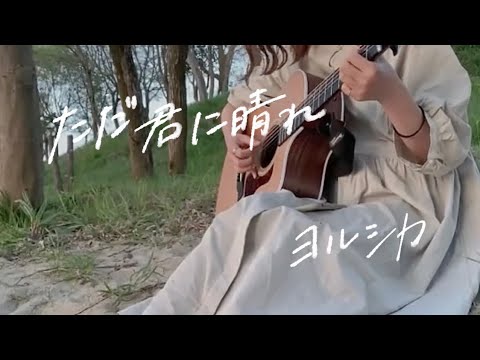 【弾き語り】ただ君に晴れ / ヨルシカ