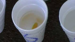 Heart Health Lovasa USANA Dr J2.MP4