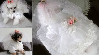 犬　ウエディングドレス 衣装 コスチューム 作り方