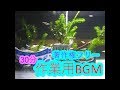 作業用BGM30分　睡眠用BGM、お昼寝BGM