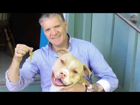 An adopted dog saves man from homelessness