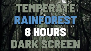 8 Hours Temperate Rainforest | Sleep, Study, Focus | NO ADS