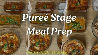 FOUR tasty pureè bariatric meals! screenshot 1