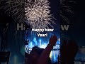 New Years Fireworks Epcot 2021